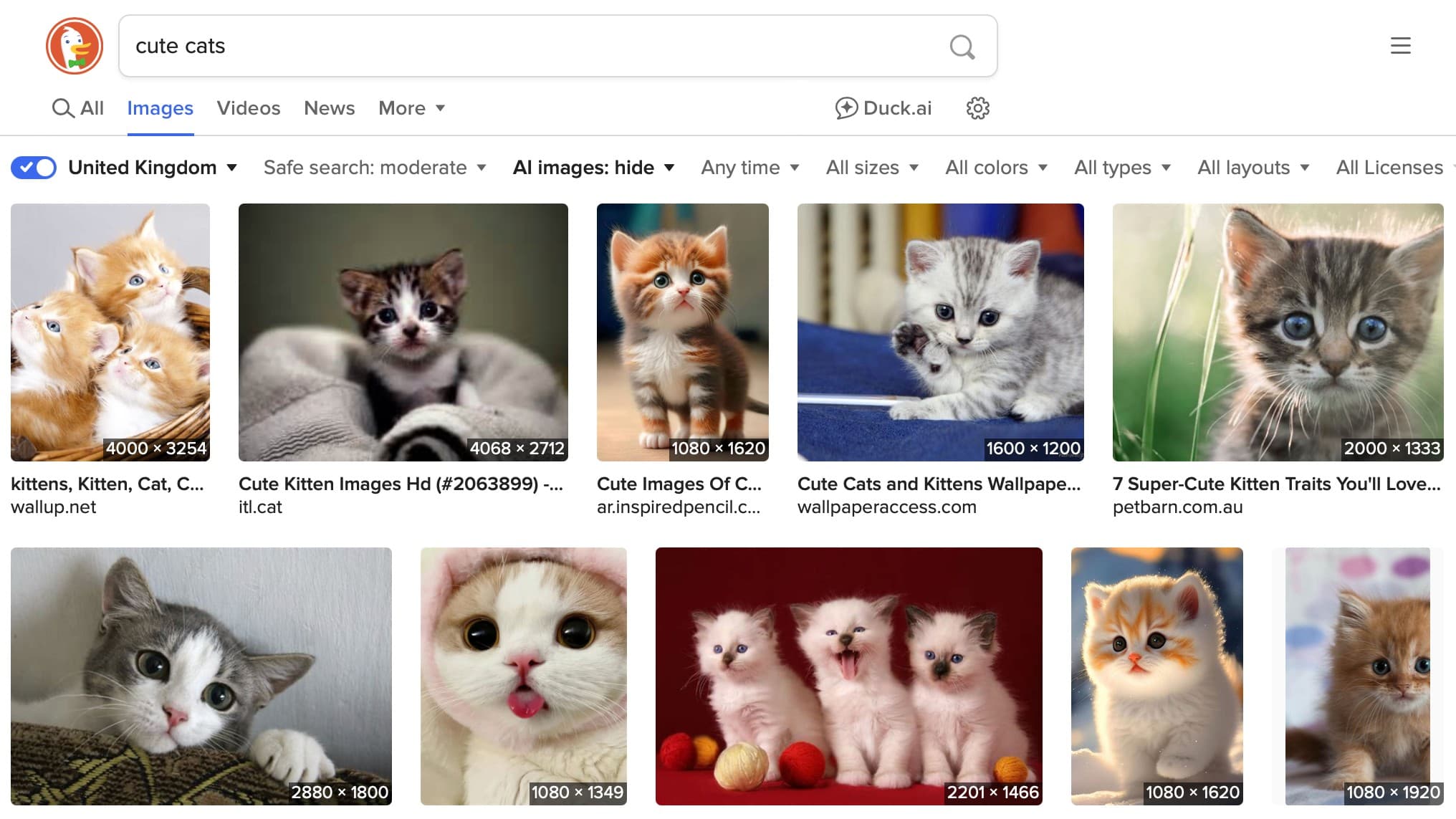 Ảnh chụp màn hình Duck Duck Go khi tìm kiếm 'Cute cats'