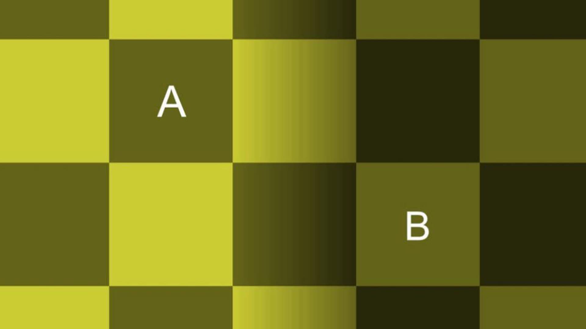 Checker shadow optical illusion