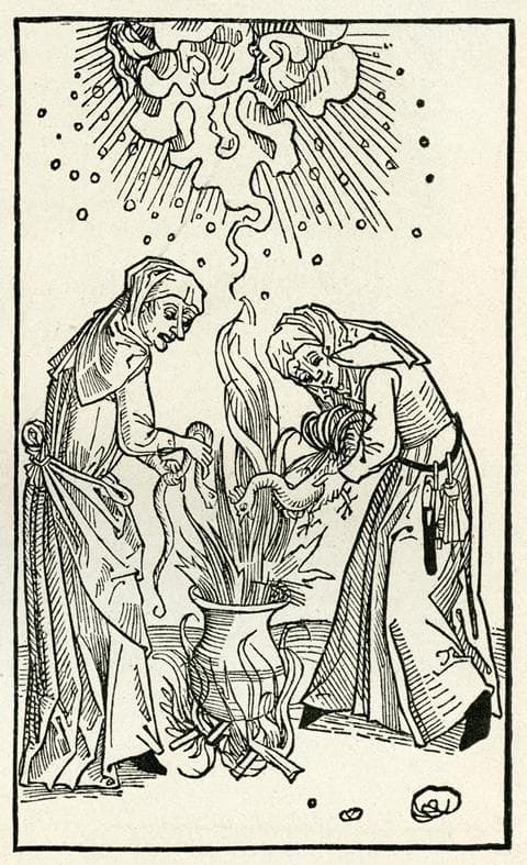Woodcut image of two women adding a chicken and a snake to a cauldron