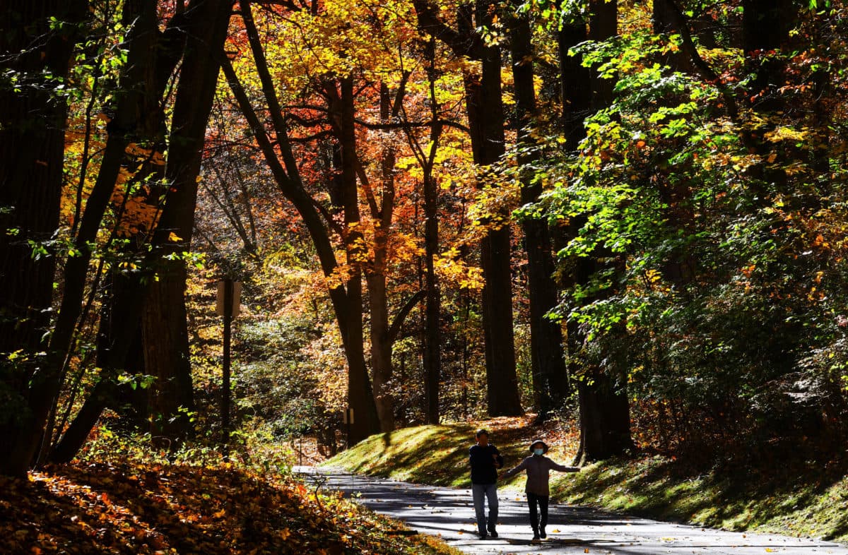 Cặp đôi đi bộ qua Công viên Bang Tallman Mountain dưới sắc lá mùa thu thay đổi ở Sparkill, New York
