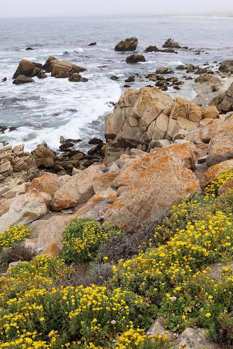 Pebble Beach trên 17-Mile Drive ở Monterey, California