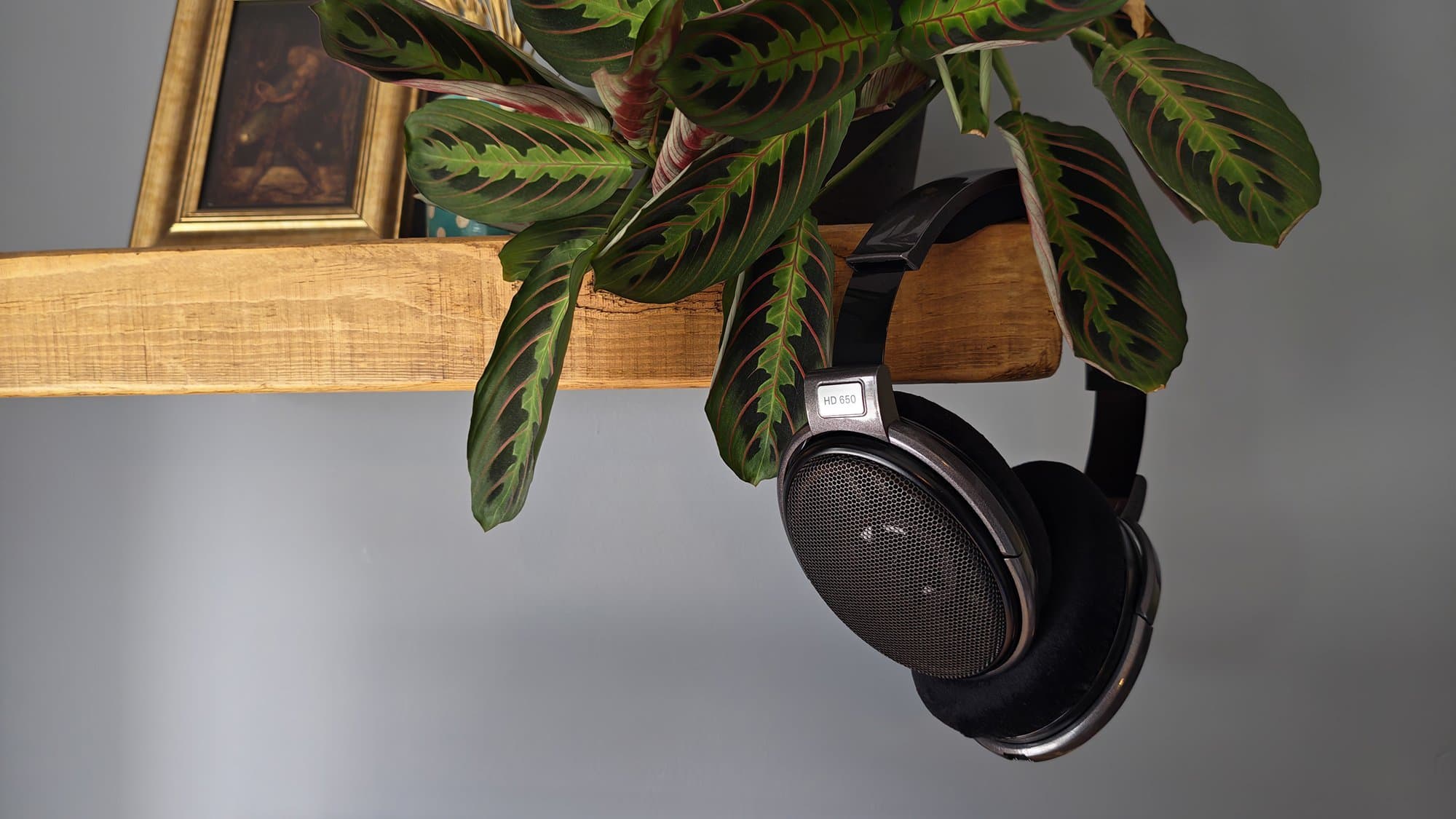 This is what I learned about audiophile headphones this week