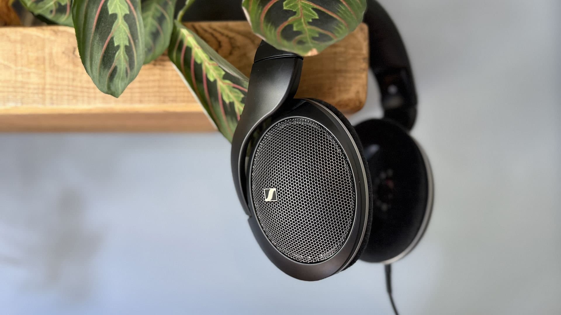 I thought 'audiophile' headphones were only for chin-scratching posers... until I got a pair