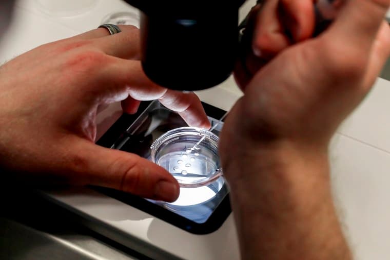 IVF petri dish.