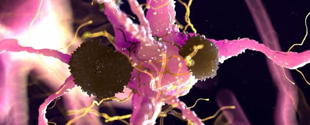 Tín hiệu ẩn trong não có thể phát hiện Alzheimer từ nhiều năm trước