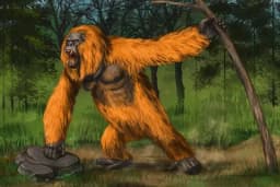 Sự chinh phục lịch sử của khỉ Gigantopithecus và lý do tuyệt chủng của nó