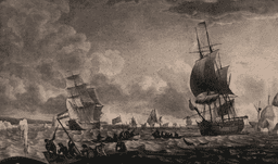 Giáo săn cổ trong cá voi mũi thuôn tiết lộ tuổi thọ 115 năm