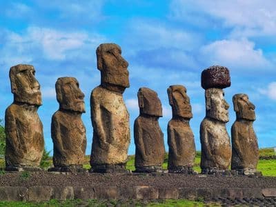 Nghiên cứu cho thấy người Rapa Nui 'đi bộ' để di chuyển tượng Moai