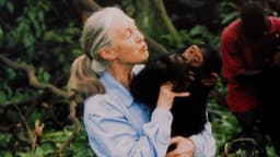 Jane Goodall: Nhà nghiên cứu tinh tinh lừng danh qua đời ở 91 tuổi