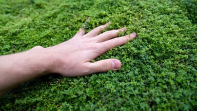 Ngày Xóa Ứng Dụng: Gen Z Khởi Xướng Chiến Dịch Apptinence