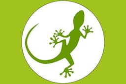 Loài nấm khổng lồ mới được phát hiện tại Ấn Độ