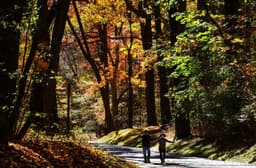 Thu phân đến: ngày và đêm cân bằng thời gian sáng, 3 điều cần biết