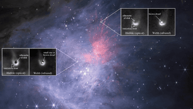 Khám phá đĩa chứa hóa chất đa dạng quanh sao lùn nâu bằng JWST