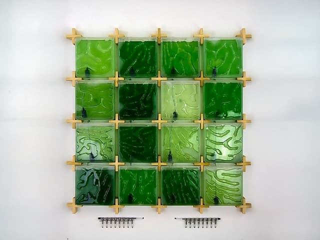 5 sản phẩm từ san hô giải quyết vấn đề thực trong nhà bạn