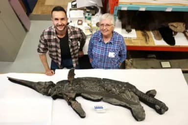Phát hiện hóa thạch loài 'rồng kiếm' độc đáo trên bờ biển Jurassic Dorset