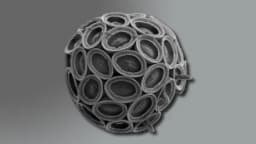 Vai trò của coccolithophore trong ổn định khí hậu toàn cầu