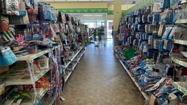Nghệ thuật DIY phong cách: Tô điểm tường nhà với vật phẩm Dollar Tree độc đáo