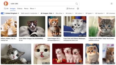 Bộ lọc ẩn ảnh AI của DuckDuckGo khôi phục giá trị nhiếp ảnh thực
