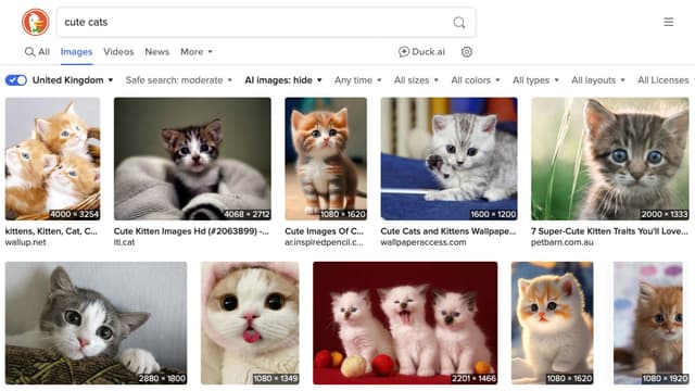 Bộ lọc ẩn ảnh AI của DuckDuckGo khôi phục giá trị nhiếp ảnh thực