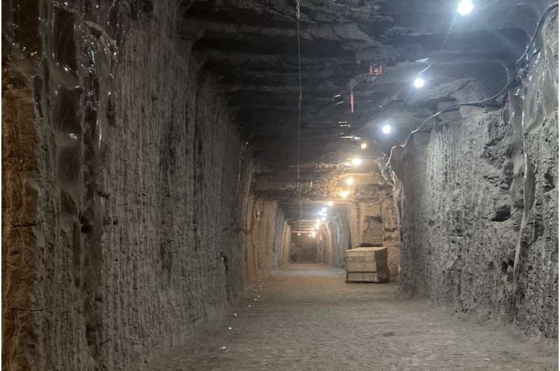 Các vi khuẩn trong tầng băng vĩnh cửu tỉnh dậy sau hàng nghìn năm