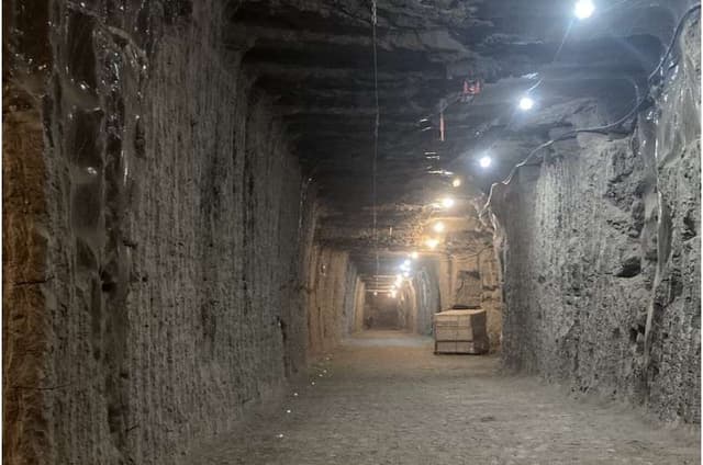 Các vi khuẩn trong tầng băng vĩnh cửu tỉnh dậy sau hàng nghìn năm