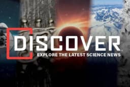 Thiết lập Discover Magazine làm nguồn ưu tiên trên Google để cập nhật khoa học