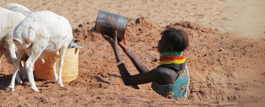 Phụ nữ Turkana trong hố trên mặt đất cằn cỗi với lon nước